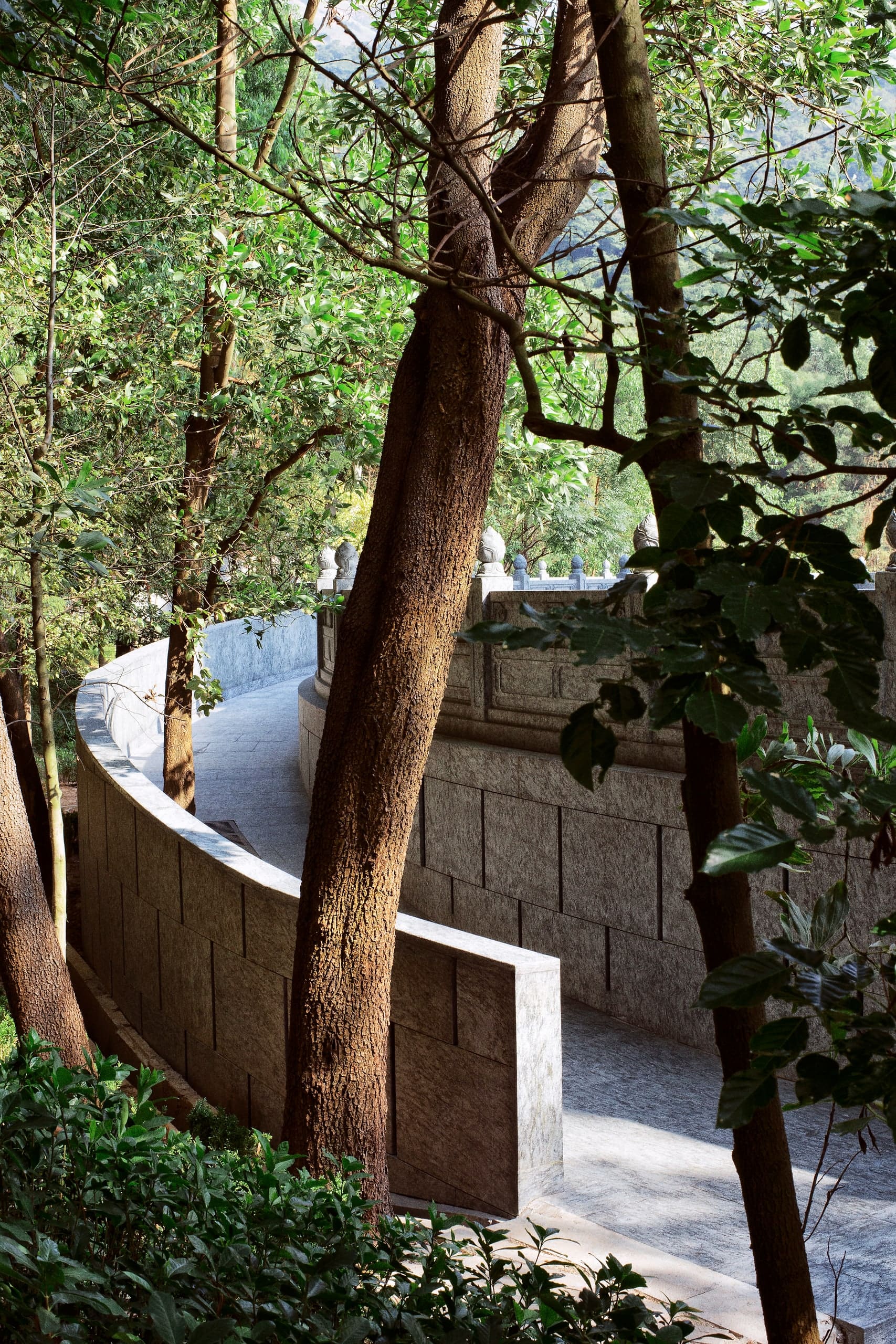 A curving stone balustrade along a shaded path, seen through the trunks of tall trees with dappled sunlight on the ground.