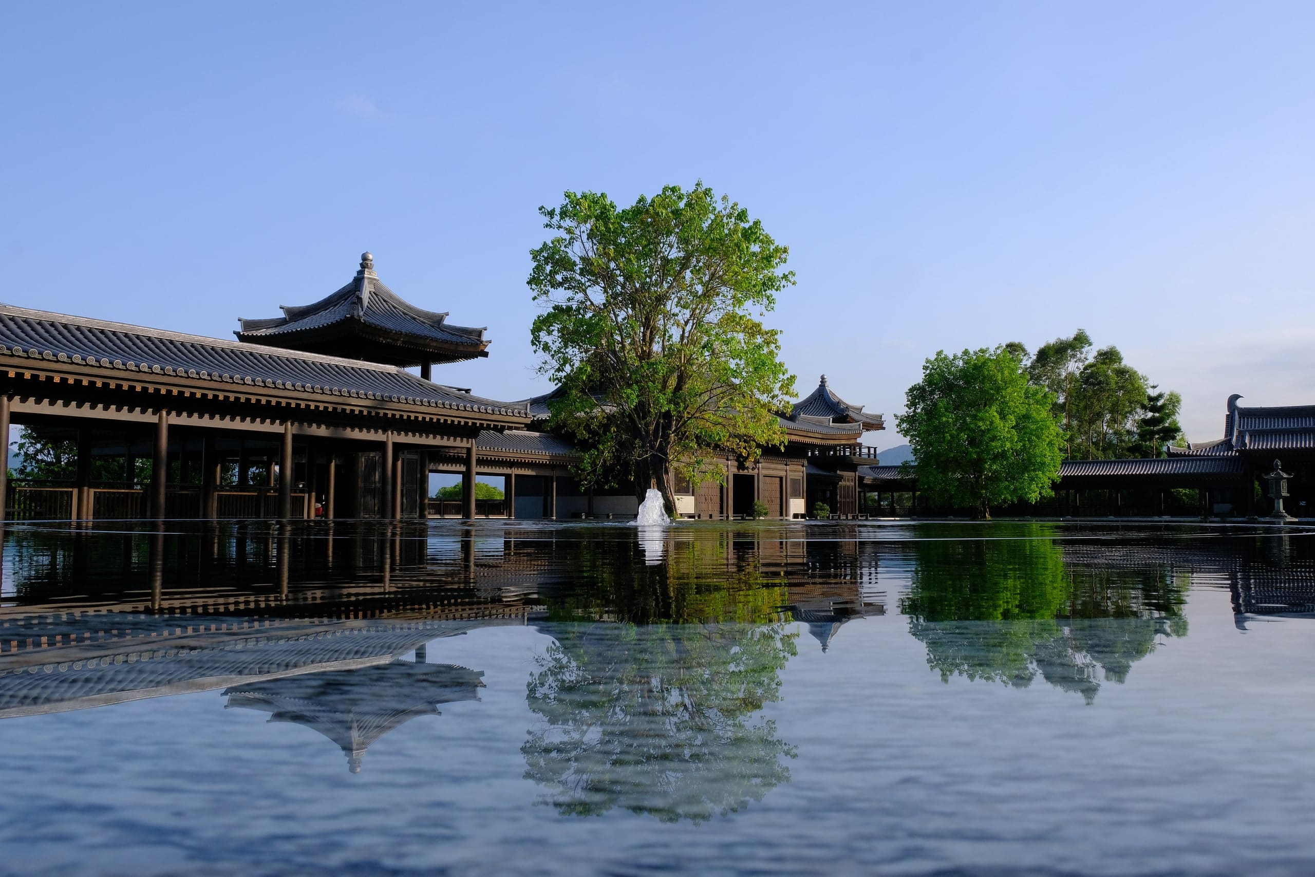 A long, still reflecting pool mirroring the monastery's tiled halls, a pagoda roof and a broad tree, under a clear morning sky.