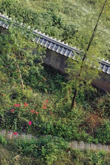 A low tiled boundary wall running downhill through dense green planting, with small red and pink flowers along its base.